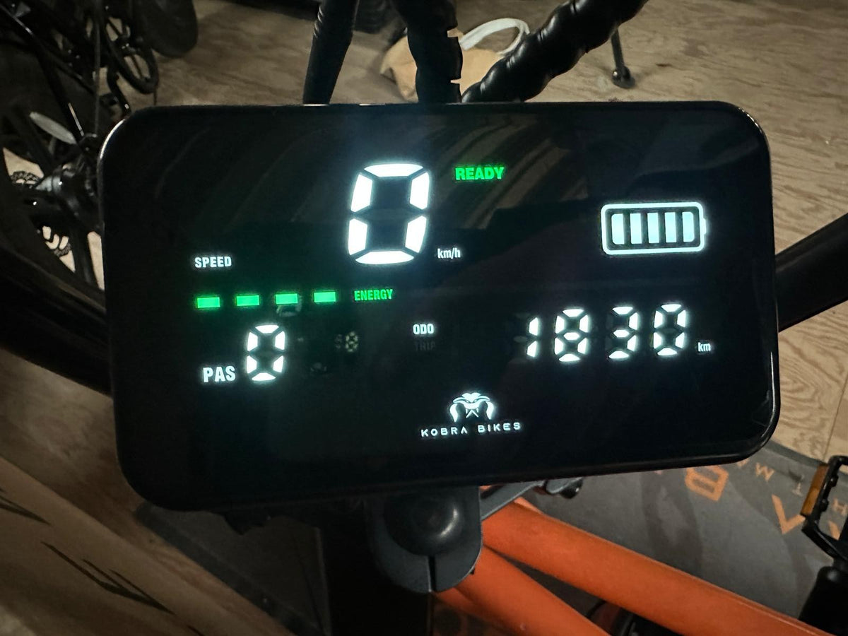 KOBRA V1.2 Fatbike Orange – demo #10 – km-stand